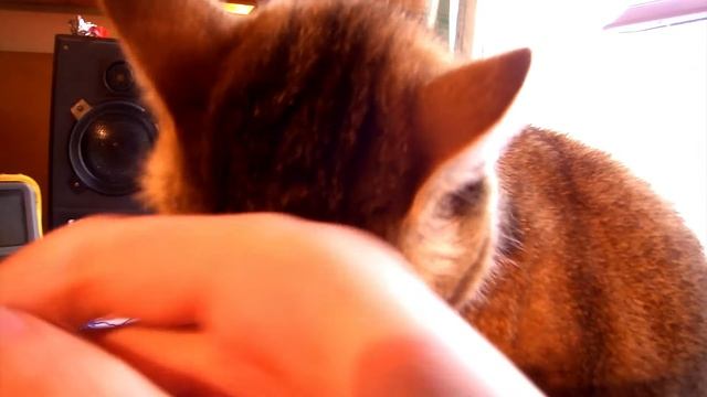 Китайская подделка. Какой Операционник лучше для наушников? смотреть онлайн