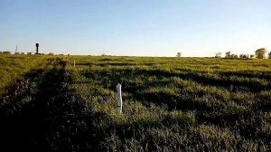 Электро пастух Статик-3м отзыв