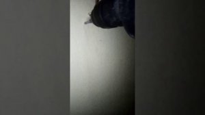 Как установить  настенный светильник, как подключить светильник на стене KENNY монтаж бра на стену,