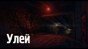 Stalker Online | Stay Out - Улей. // Hive.