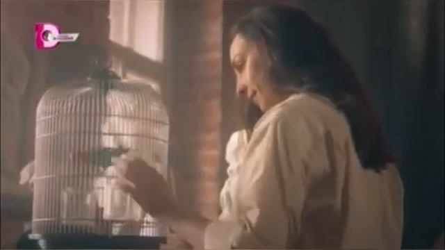 Павлин или треугольник в квадрате смотреть онлайн