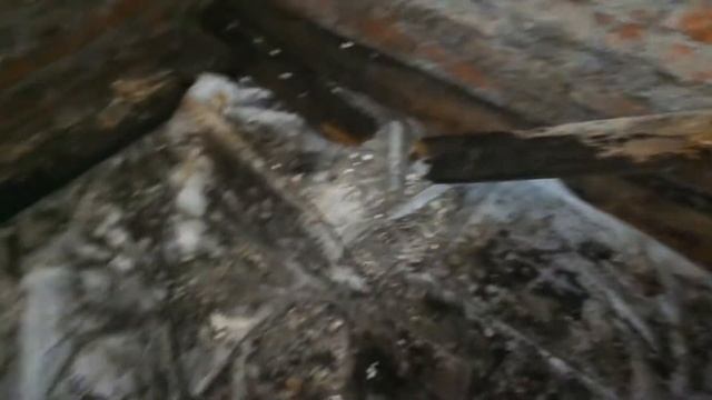 Овощная яма в гараже требующая внимания смотреть онлайн