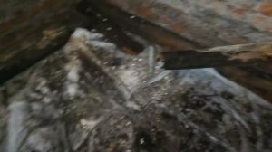 Овощная яма  в гараже требующая внимания