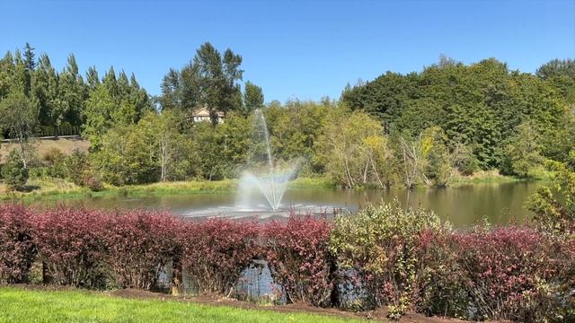iPhone 15 Plus Pink Camera Test Aesthetic 2023 | Comparison with 14 Pro Max, review смотреть онлайн