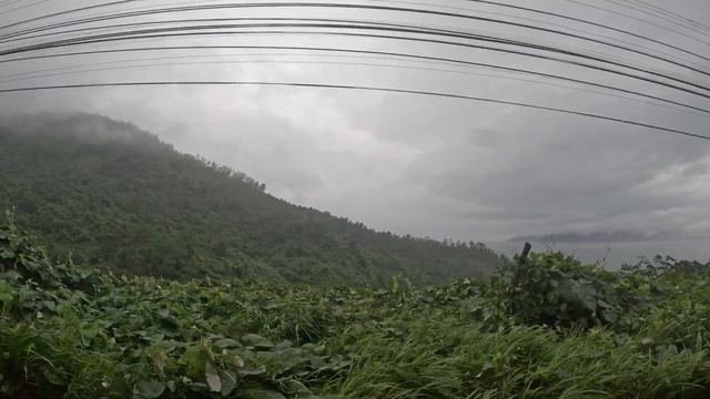day 7. 雨のハイヴァン峠を通って世界遺産の街、古都フエへ 14日間ベトナム縦断・統一鉄道の旅 смотреть онлайн