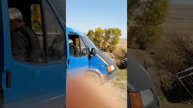 Грузия обмен смотреть онлайн
