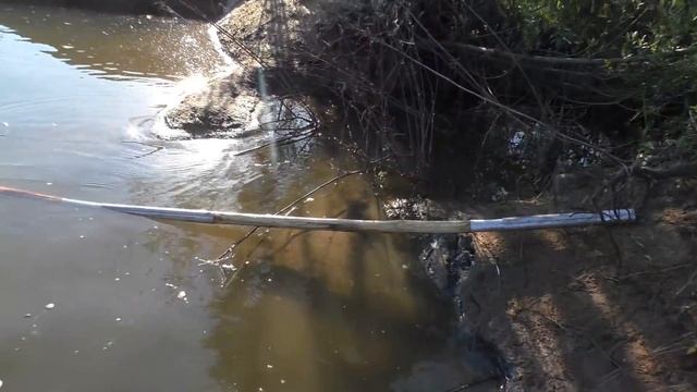 Ловим рыбу ПАУКОМ И РУКАМИ! смотреть онлайн