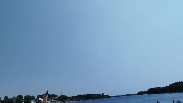 Великий Новгород/Пляж у стен Новгородского кремля, первая линия смотреть онлайн