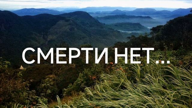 Смерти нет... Слова высшего Я (28.07.2022) #ченнелинг #регрессивныйгипноз #судьба смотреть онлайн