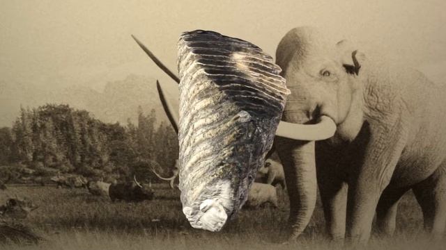 Mammoth Tooth смотреть онлайн