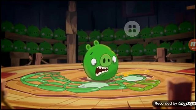 Angry Birds Toons Pig Talent (Funny Voice Over)