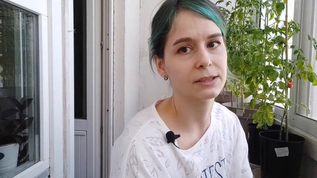 Перцы и томаты в моей квартире. Тестируем удобрение ZION. Часть 5. смотреть онлайн