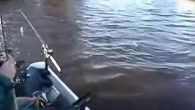 Ловля щуки весной на спиннинг, Щука 95 см смотреть онлайн