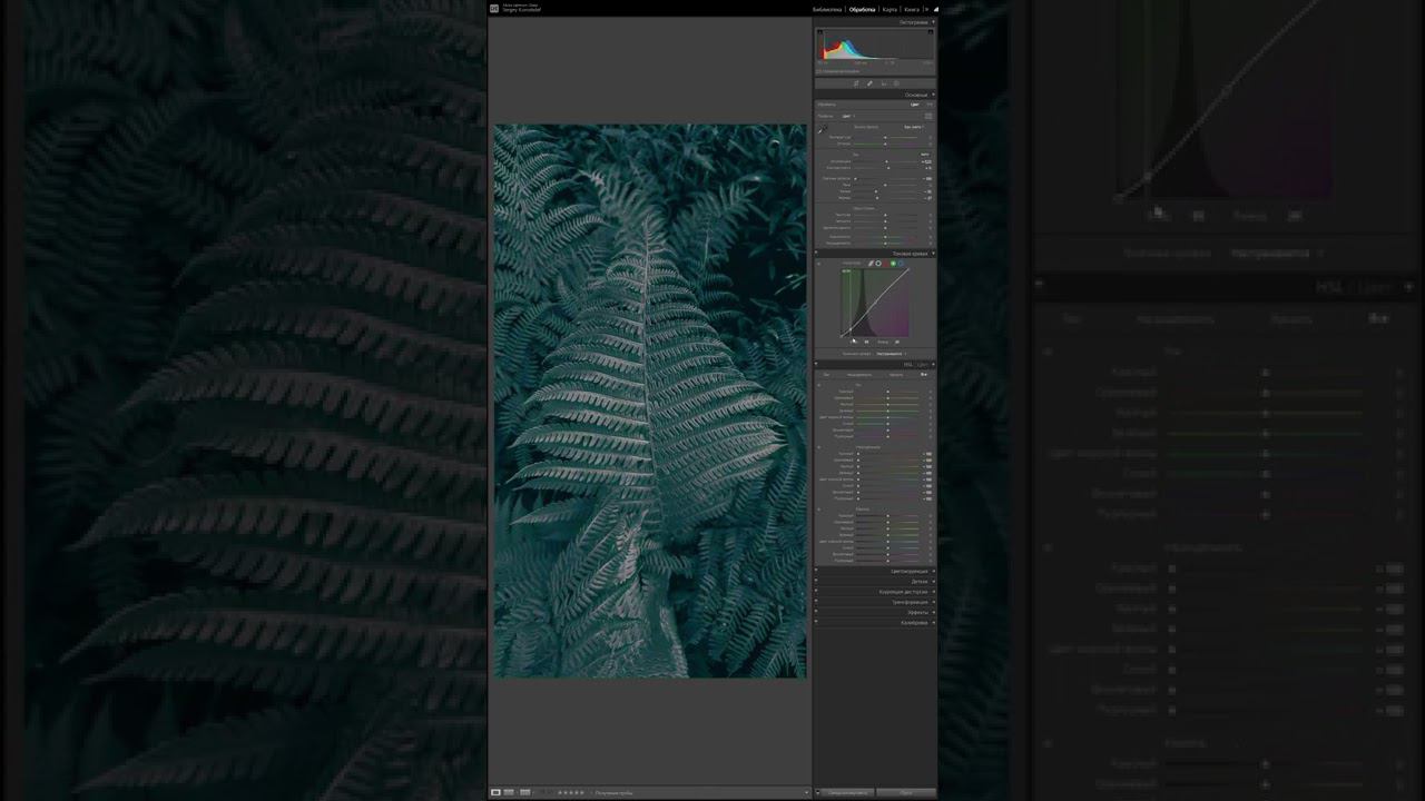 Dark Moody в Лайтрум за 30 секунд / Secrets of Lightroom in 30 seconds / Обработка фото в Lightroom смотреть онлайн