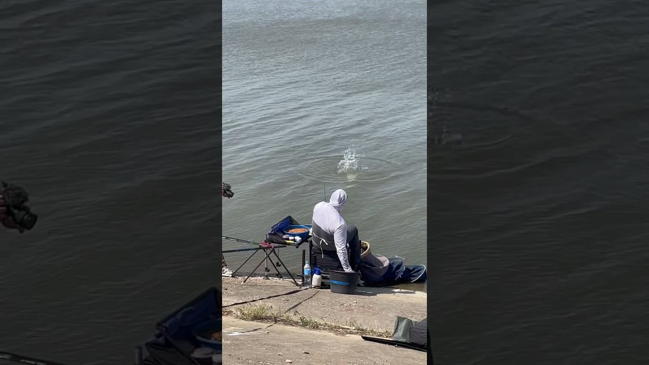 Кубок Росси по поплавку 2023! Начало прикормки! смотреть онлайн