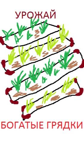 Урожай. Кинза. Базилик. Укроп. Горошек Салат. Фасоль. Морковь. Свекла. Картошка. Редис. Лайк смотреть онлайн