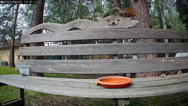 Улыбнитесь, вас снимает скрытая камера. ? смотреть онлайн