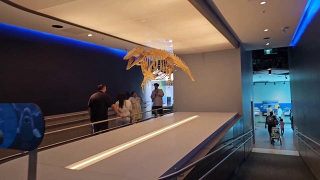 Канадский зоопарк, zoo in Manitoba, живые бизоны, азиатский фуд-корт смотреть онлайн