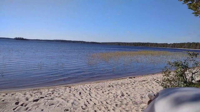 Озеро Лямицкое смотреть онлайн