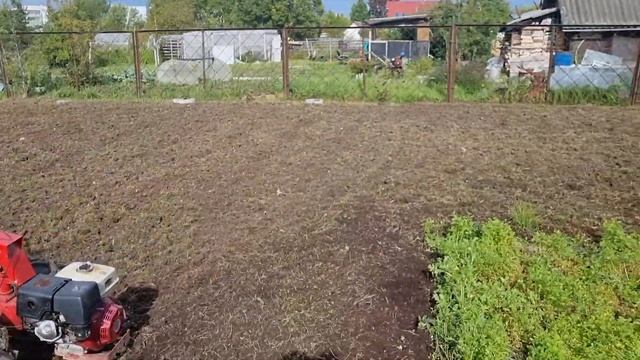 вспашка целины мотоблоком МТЗ и утилизация веток Термит у-350. смотреть онлайн
