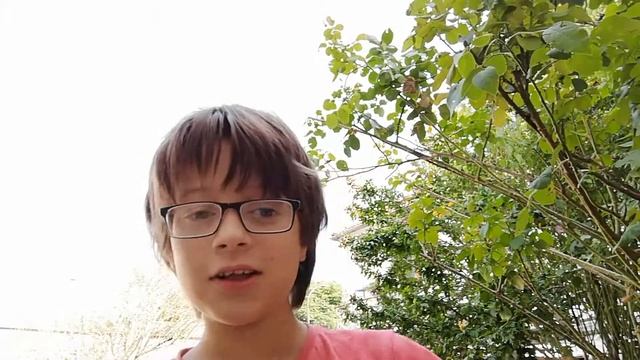 Ma première vidéo m'a vue смотреть онлайн