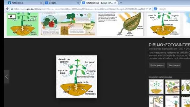 Hacer Una Tarea En Word (google Y Print Screen)