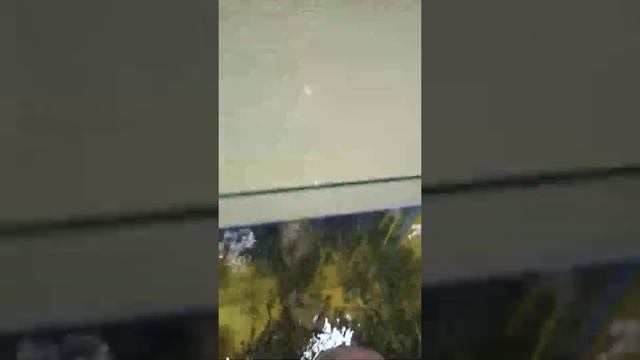 Пилинг ног рыбками. Поход в аквапарк "ЛетоЛето" - 3 часть (сентябрь-2018) смотреть онлайн