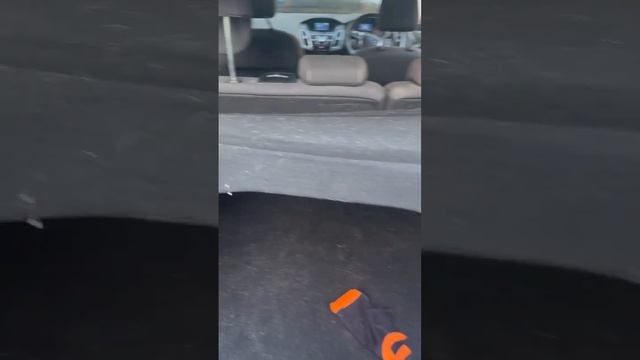 J605 Ford Focus 2011, 1.6, бензин, МКПП смотреть онлайн