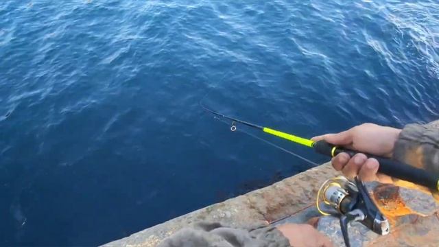 Ловля саргана на Пилькер. смотреть онлайн