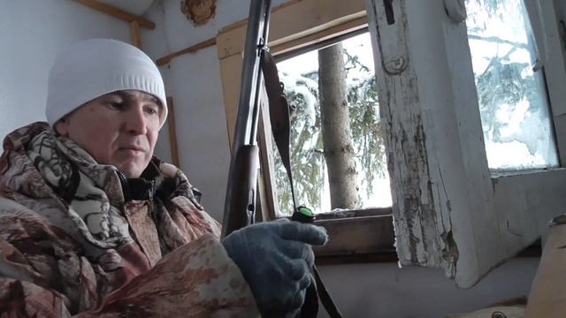 Привада на лису работает.Очередная засидка на лабазе,ждем лису!!! смотреть онлайн