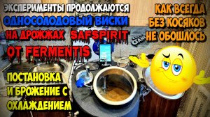 ВИСКИ ДОМА. Что-то пошло не так ! Как НЕ НАДО ставить зерновую брагу ! Брага на солоде для ВИСКАРЯ .