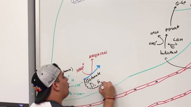 Metabolism _ Amino Acid Metabolism.mp4 смотреть онлайн