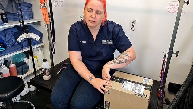 Kylie the Groomer Live stream. смотреть онлайн