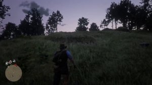 Сокровища Ядовитой Тропы rdr2