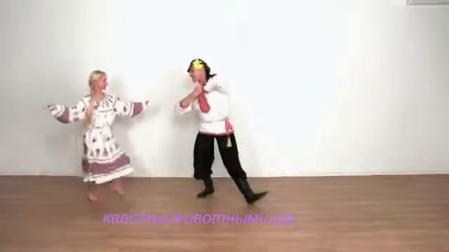 Сова на праздник, Сова на мероприятие, Сова на съемки: www.квестысживотными.рф смотреть онлайн