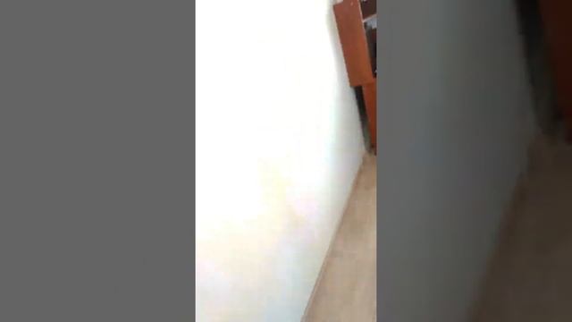 У друга,номер машины,уборка смотреть онлайн