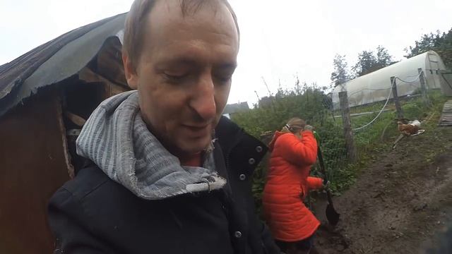 Шершень? Домик бабайки! смотреть онлайн