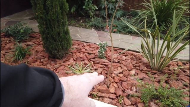 Уход и нюансы эксплуатации мраморной крошки