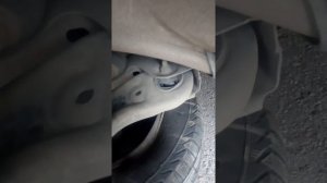 Шкода рапид стучит