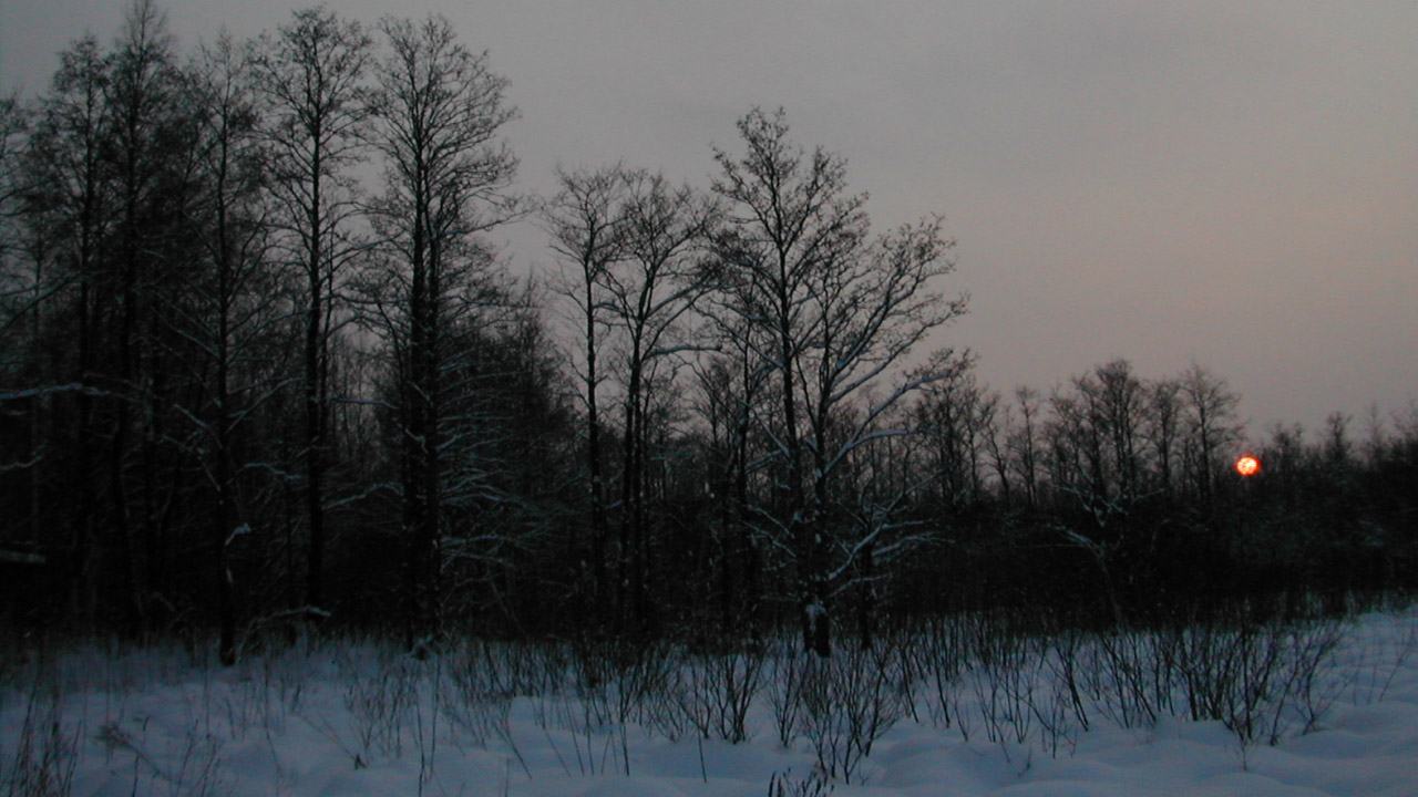 Иеромонах Роман. «Теплится лампада, свет свечи весёлый...» смотреть онлайн