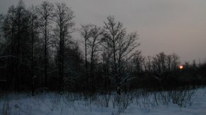 Иеромонах Роман. «Теплится лампада, свет свечи весёлый...»