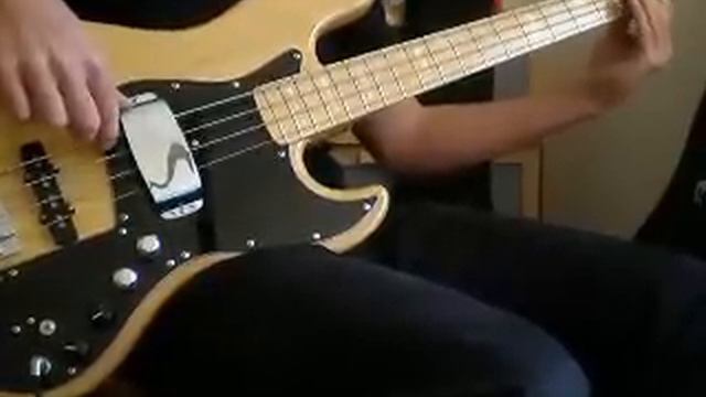 Guns N' Roses Don't Cry Bass Cover смотреть онлайн