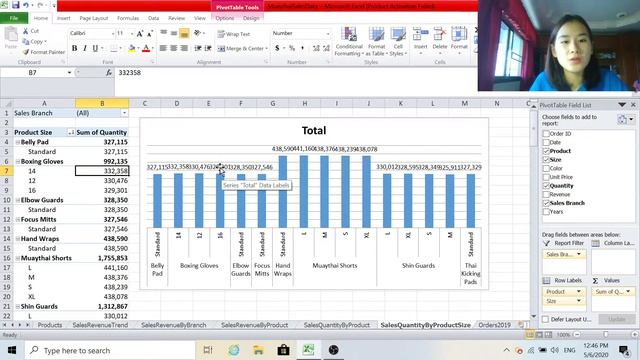 Pivot Table and Dashboard in MS Excel (Office 2010 ) смотреть онлайн