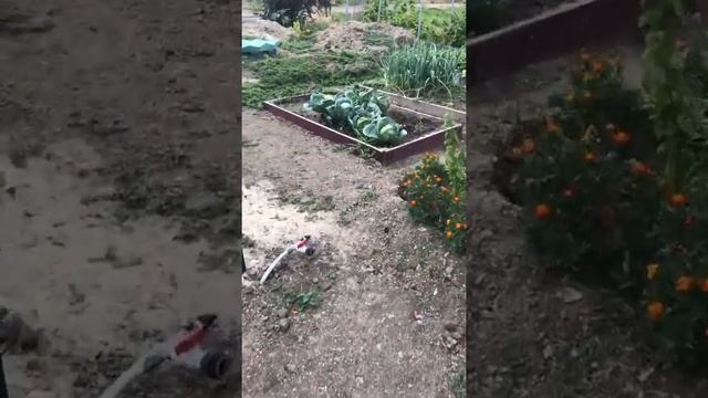 Автономная канализация Биом Лайт смотреть онлайн