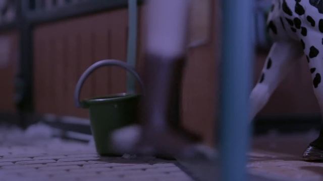 Silver Star Stables - S01 E03 - The Call of Fury |Schleich Horse Series| смотреть онлайн