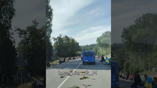 Такая картина сейчас по всей Украине. смотреть онлайн