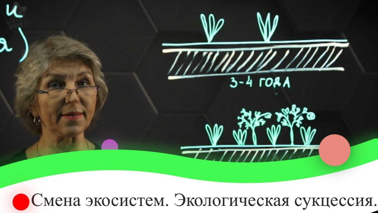 Смена экосистем. Экологическая сукцессия. 7 класс. смотреть онлайн