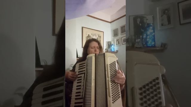 Petite Fleur - Accordion смотреть онлайн