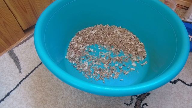 ОПАРЫШ для рыбалки | Как сохранить опарыша |  Живет долго и счастливо |