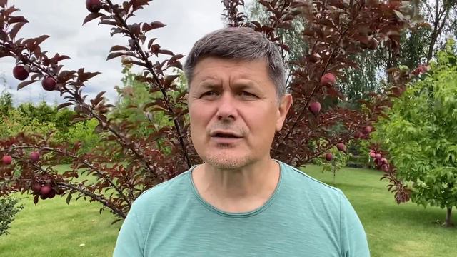 Зарплаты в госаппарате смотреть онлайн